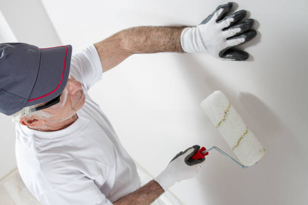 Best Forensic Mold Investigation  in Wlowbrook, IL