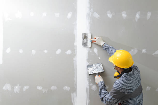 Best Water Damage & Mold Remediation  in Wlowbrook, IL