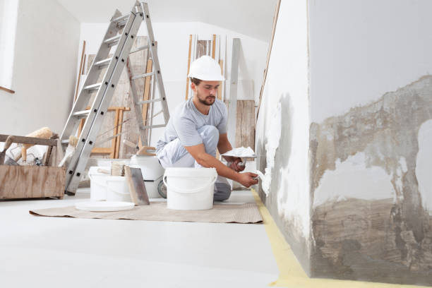 Best Black Mold Removal  in Wlowbrook, IL