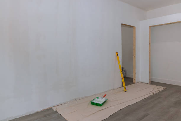 Best Mold Odor Removal Services  in Wlowbrook, IL