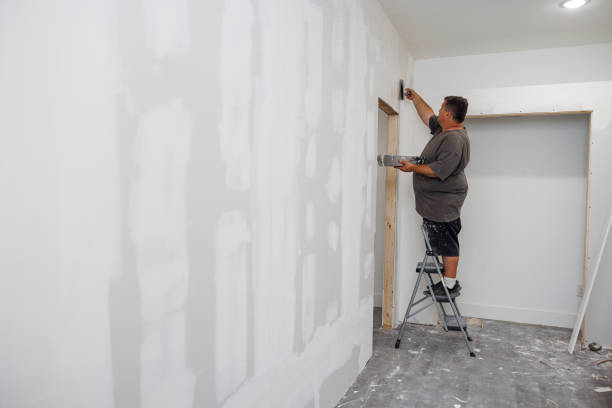 Best Biohazard Mold Removal  in Wlowbrook, IL