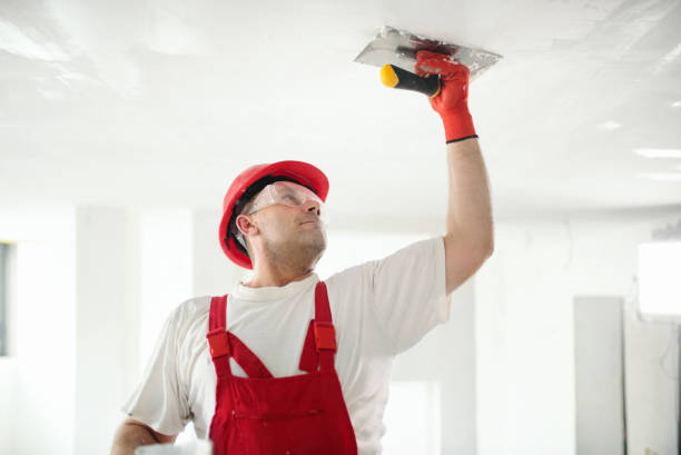 Best Commercial Mold Inspection  in Wlowbrook, IL