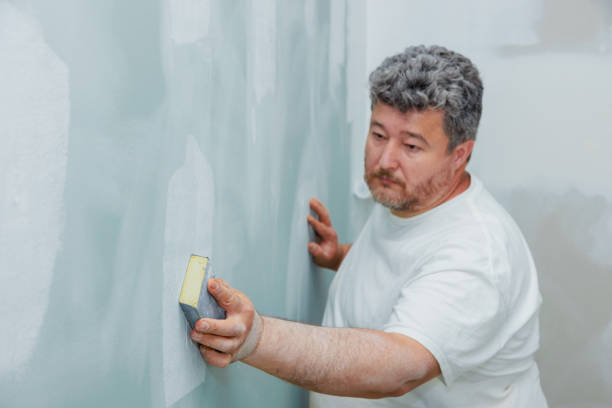 Best Asbestos and Lead Testing During Mold Inspection  in Wlowbrook, IL