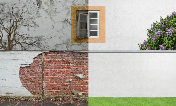 Best Mold Removal for HVAC Installations  in Wlowbrook, IL